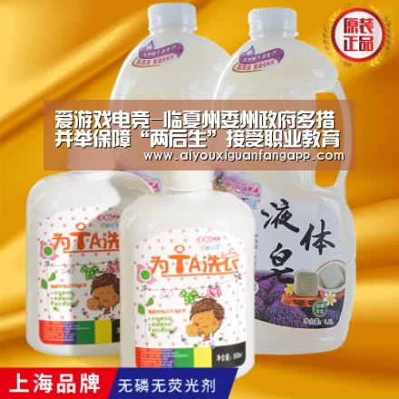 爱游戏电竞-临夏州委州政府多措并举保障“两后生”接受职业教育(图1) 爱游戏电竞