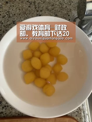 爱游戏体育-财政部、教育部下达2006-2007年中职学校专业骨干教师国家级培训及出国进修专项资金(图1) 爱游戏百家乐