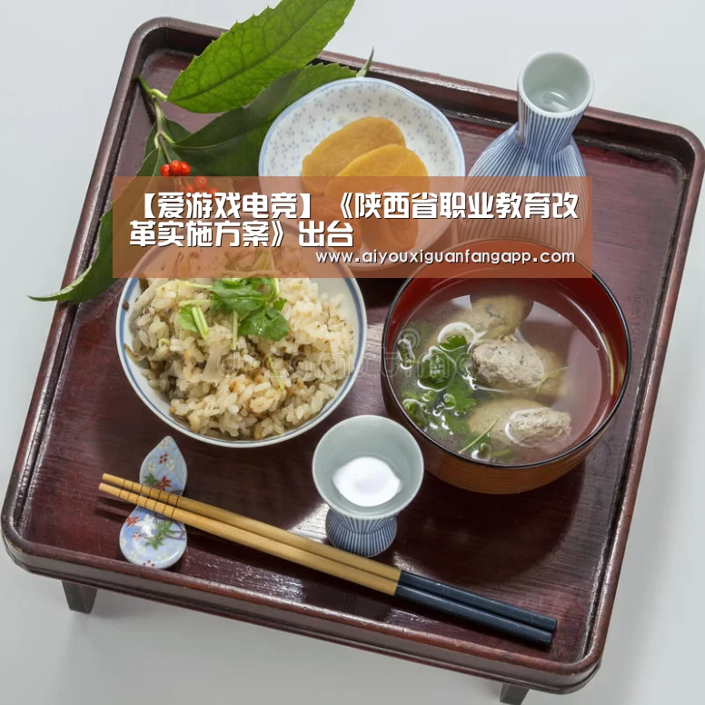 【爱游戏电竞】《陕西省职业教育改革实施方案》出台(图3) 爱游戏体育