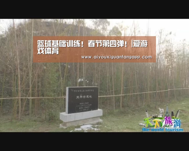 爱游戏体育