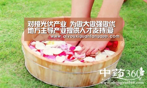 对接光伏产业   为做大做强做优地方主导产业提供人才支持|爱游戏体育