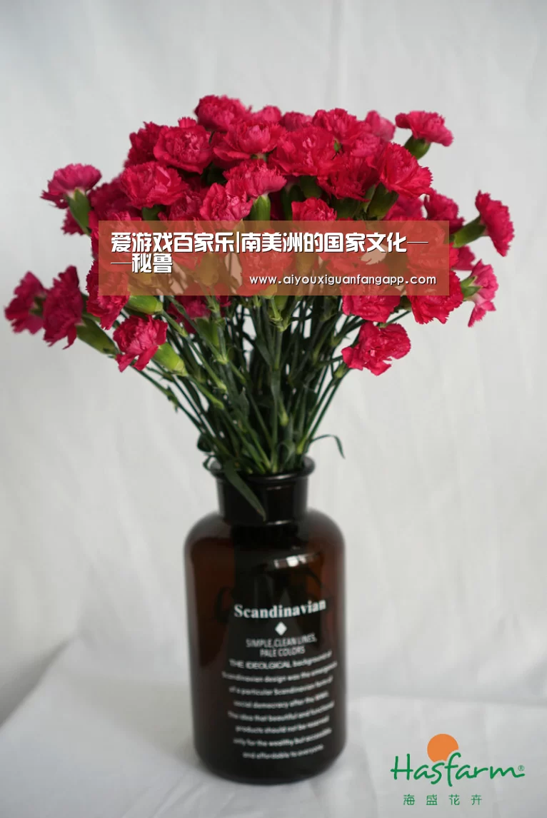 爱游戏百家乐|南美洲的国家文化——秘鲁(图2) 爱游戏体育