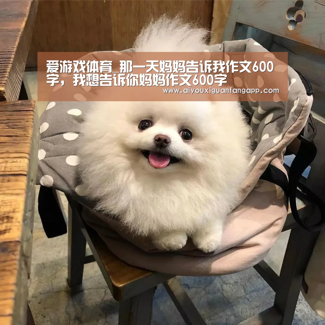 爱游戏体育_那一天妈妈告诉我作文600字,我想告诉你妈妈作文600字(图3) 爱游戏电竞