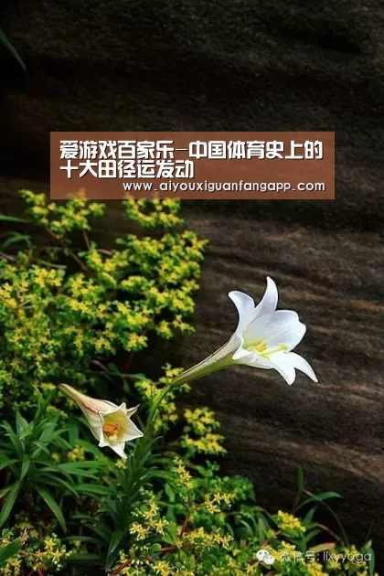 爱游戏百家乐-中国体育史上的十大田径运发动(图2) 爱游戏电竞