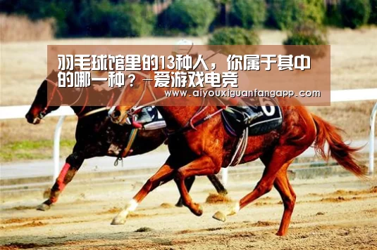 爱游戏电竞